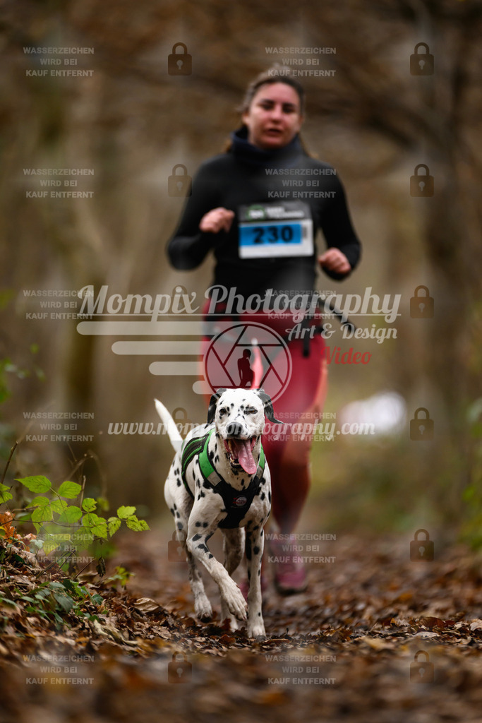 MompixPhotography_Eschau2024_CCC-124 | PayLife