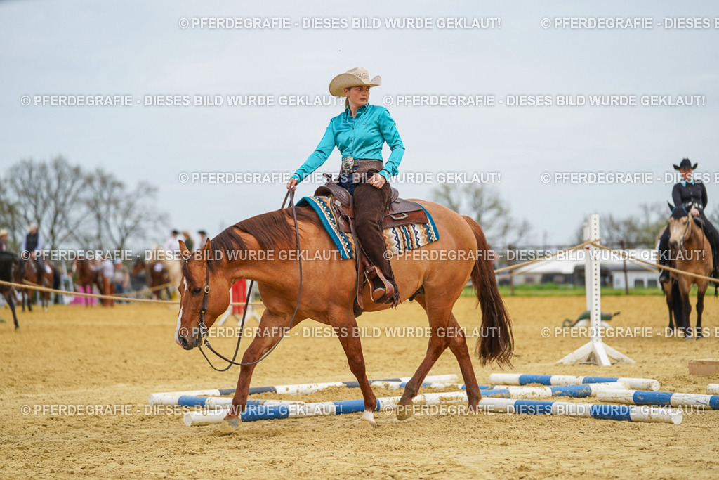 DSC03143 | Pferdegrafie