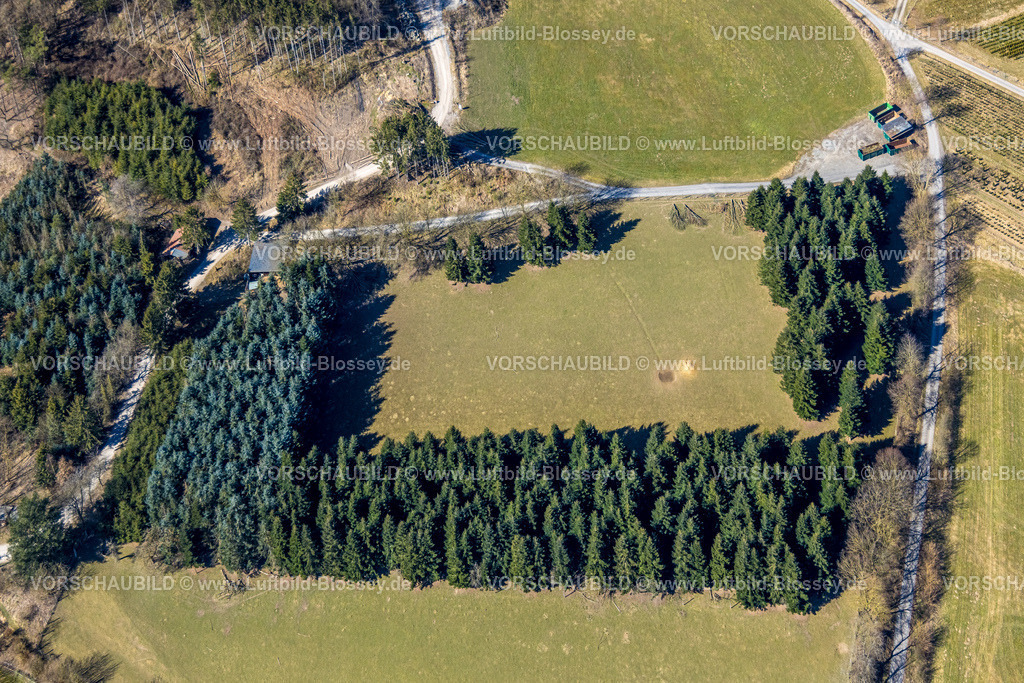 Meschede250304658 | Luftbild, Wiesenfläche und Baumgruppe Luciastraße, Berge, Meschede, Sauerland, Nordrhein-Westfalen, Deutschland