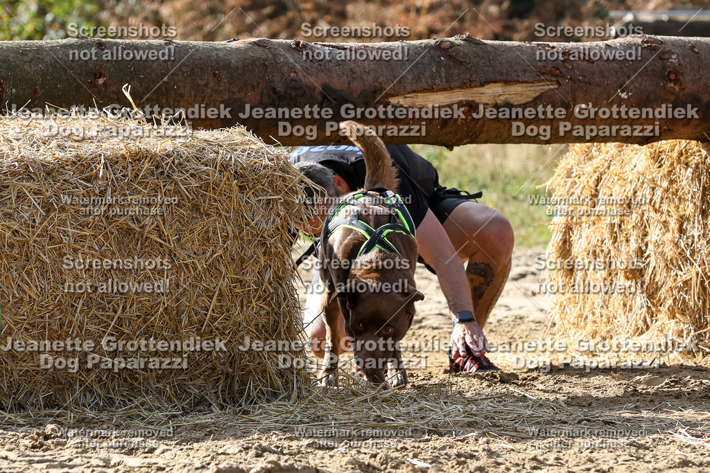 Dog Paparazzi - Strongdog 10-25-5901 | Dog Paparazzi Jeanette Grottendiek Fotografie & Videografie - Realisiert mit Pictrs.com