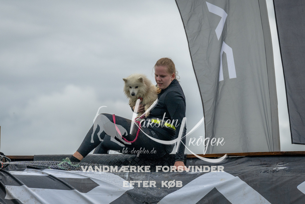 1543_ZZ90211 | kk-dogfotos