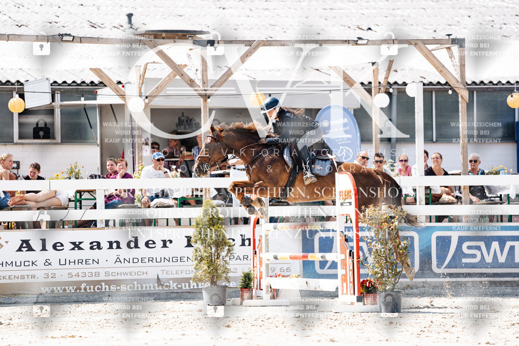 CK909886 | Turnierfotografie Pferdefotografie Trier Rheinland-Pfalz Pferdesport Reitsport Tierfotografie Sportfotografie Pferdevideo Pferdevideografie Equestrianvideography equestrianphotography  - Realisiert mit Pictrs.com