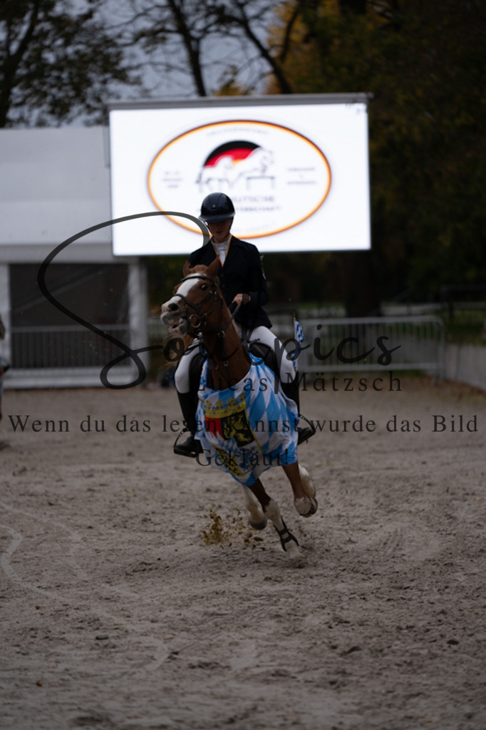 A7V01451 | Pferdefotograf