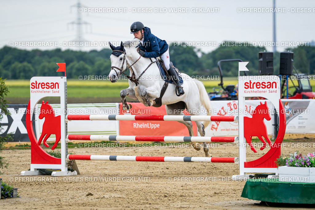 DSC05885 | Pferdegrafie