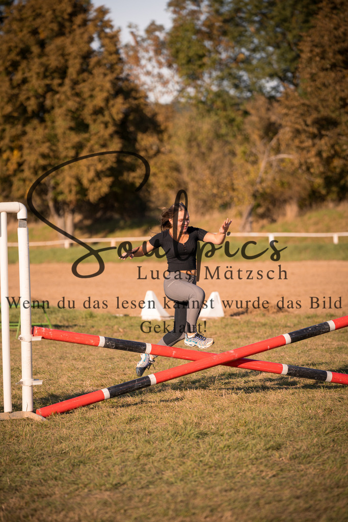 A7V04716 | Pferdefotograf