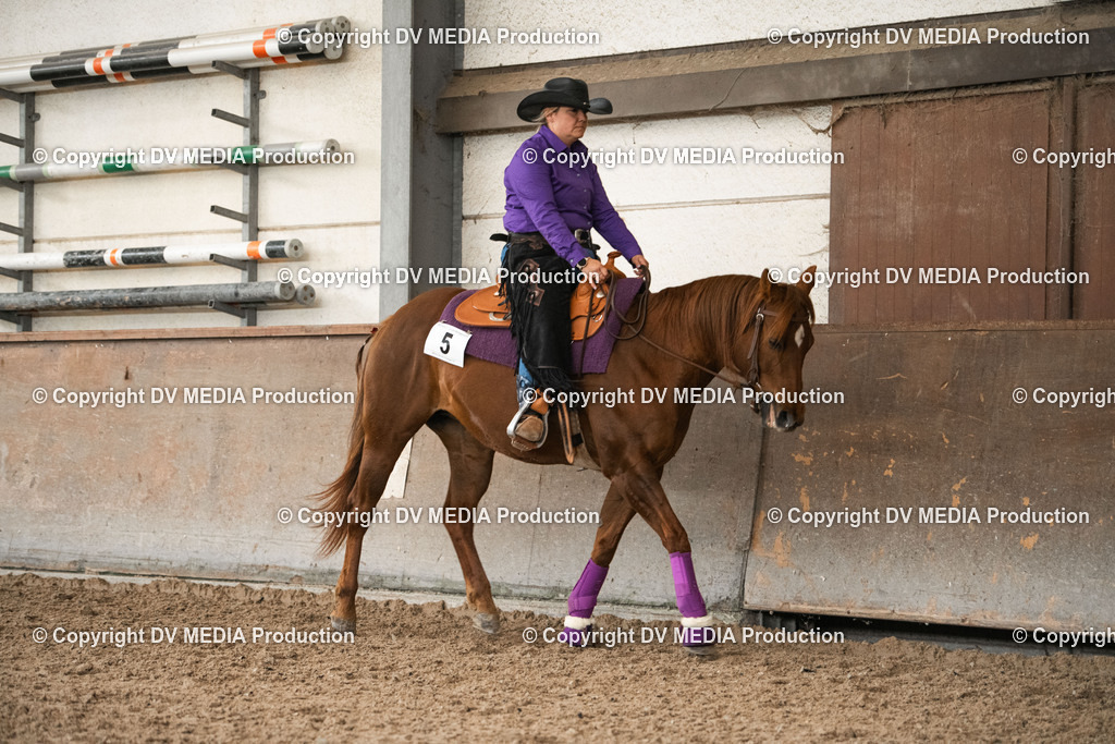 Heiligenwald Tag 1-208 | dv-media-shop - Realisiert mit Pictrs.com