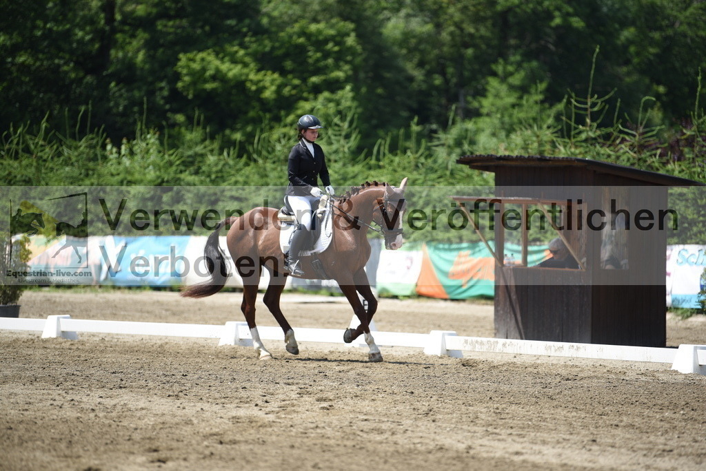 DSC_0068 | equestrian-live-com