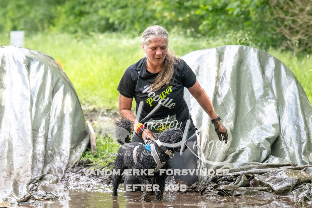 1222_ZZ92015 | kk-dogfotos