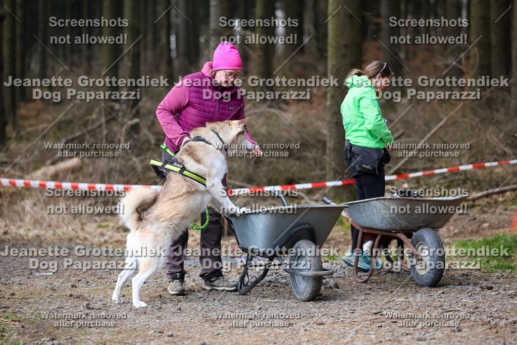 Dog Paparazzi - VCC26-778 | Dog Paparazzi Jeanette Grottendiek Fotografie & Videografie - Realisiert mit Pictrs.com