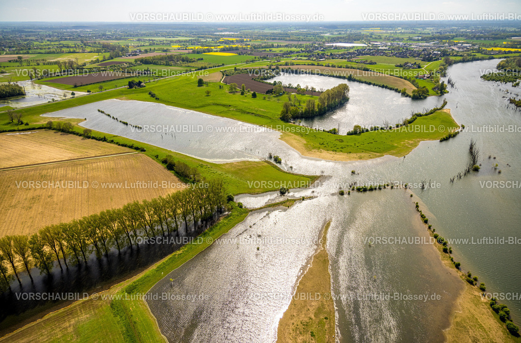 Wesel240402238BislicherInsel-Wesel | Luftbild, NSG Naturschutzgebiet Bislicher Insel Auenlandschaft, Schwarzer Graben mit Baumallee, Flussarm Alter Rhein, Seenlandschschaft mit Wiesen und Feldern und Fernsicht, Unterbirten, Xanten, Niederrhein, Nordrhein-Westfalen, Deutschland