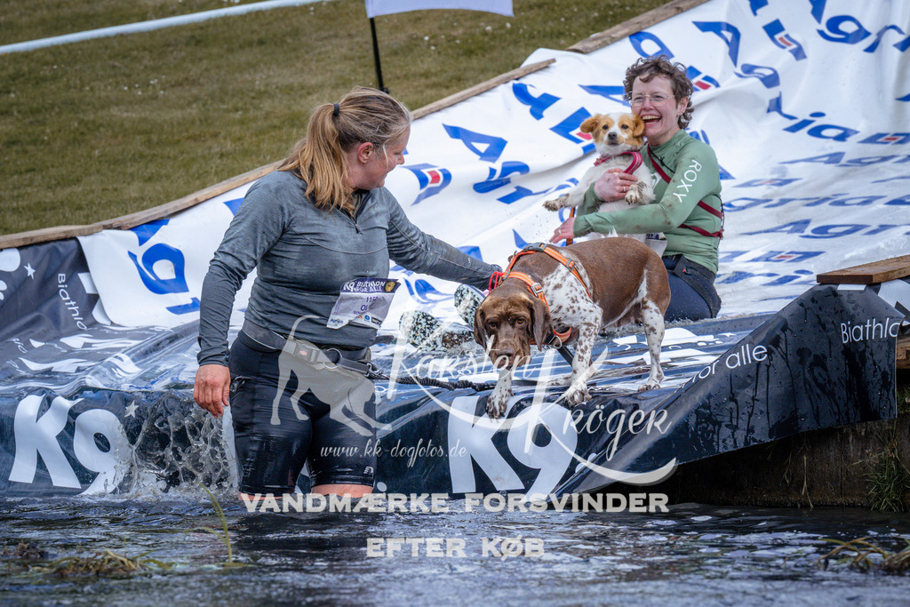 _ZZ913360913 | kk-dogfotos