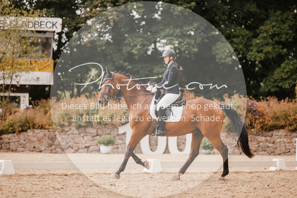 3I6A6328 | Stimmungsvolle Portraits und Reitsportfotografie im Ruhrgebiet und im Münsterland.

Pferdefotografie, Hundefotografie, Tierfotografie, Reportagen, Portraits von Tier und Mensch, Turnierfotografie in Bochum, Recklinghausen, Marl, Haltern am See, Dülmen.. - Realisiert mit Pictrs.com