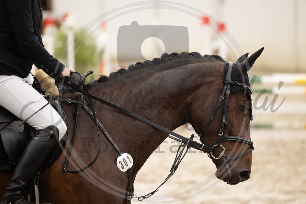 994A0260 | sabrinanicolaifotografie - Realisiert mit Pictrs.com