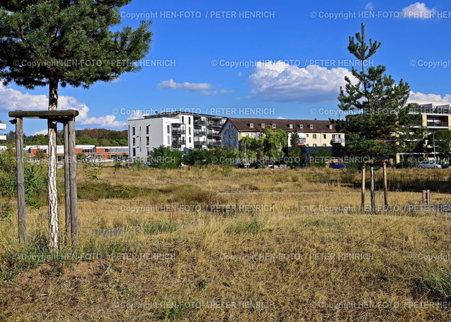 20220905-6050-lincolnwall-HEN-FOTO | 05.09.2022 Impressionen Darmstadt Lincoln Wall Jam 2022 Graffiti Wand Kunstgalerie im Freien auf einer Schallschutzmauer am Rand der Lincoln-Siedlung (Foto: Peter Henrich) xxpeterxxhenrichxx - Realisiert mit Pictrs.com