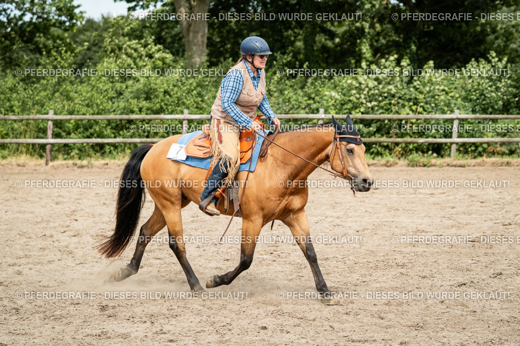 DSC01927 | Pferdegrafie