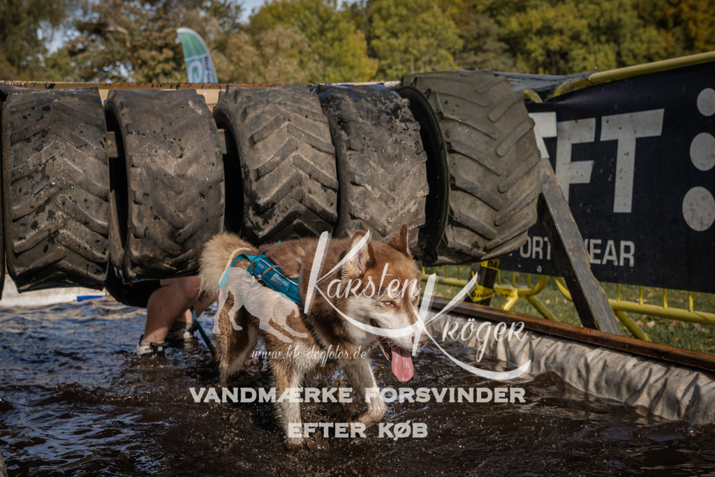 1404_ZZ93963 | kk-dogfotos