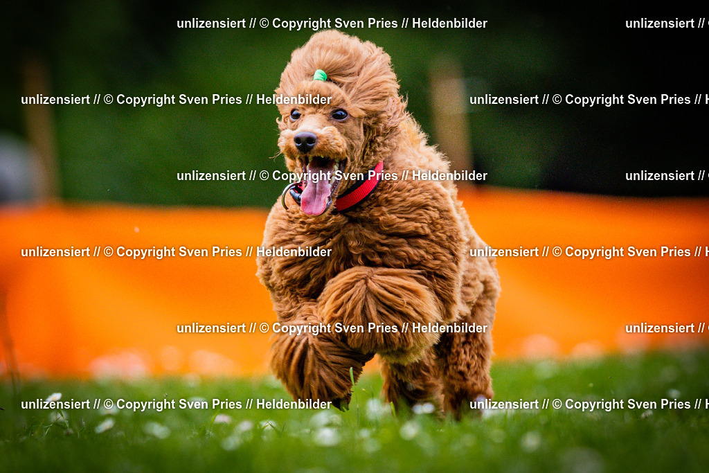 Sven Pries | 2025-05-29 - Pudelrennen KA-Durlach - Realisiert mit Pictrs.com