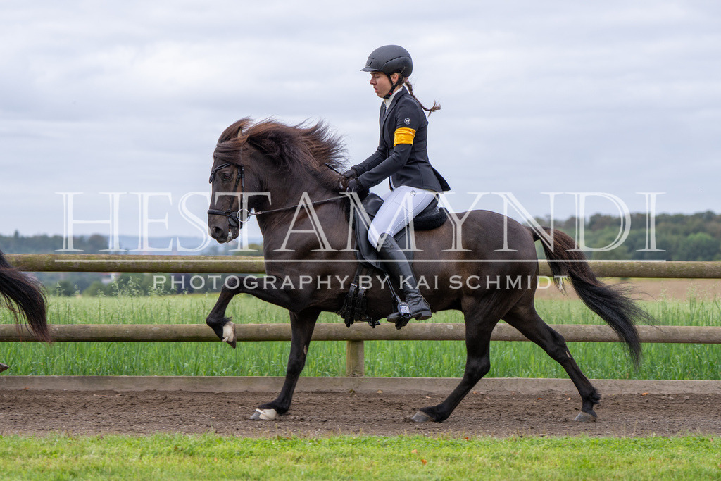 KAI00955 | Ihr sucht einen Fotografen für eure nächste OSI? Ich begleite auch euer Turnier für Islandpferde fotografisch.  - Realisiert mit Pictrs.com