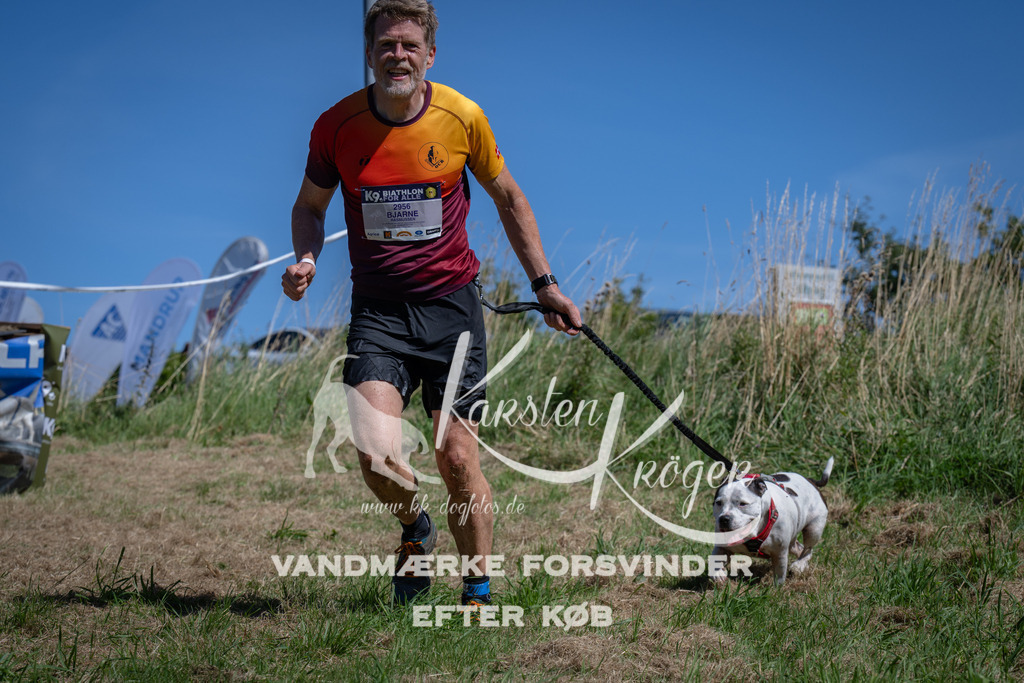 1254_ZZ97261 | kk-dogfotos