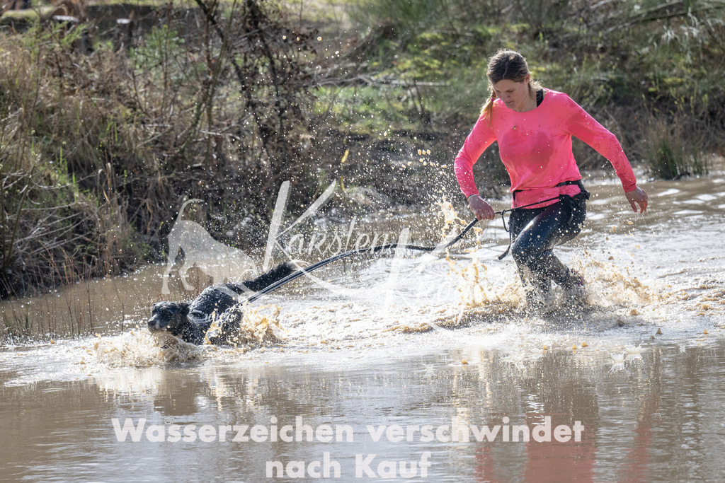 1048_ZZ91906 | kk-dogfotos