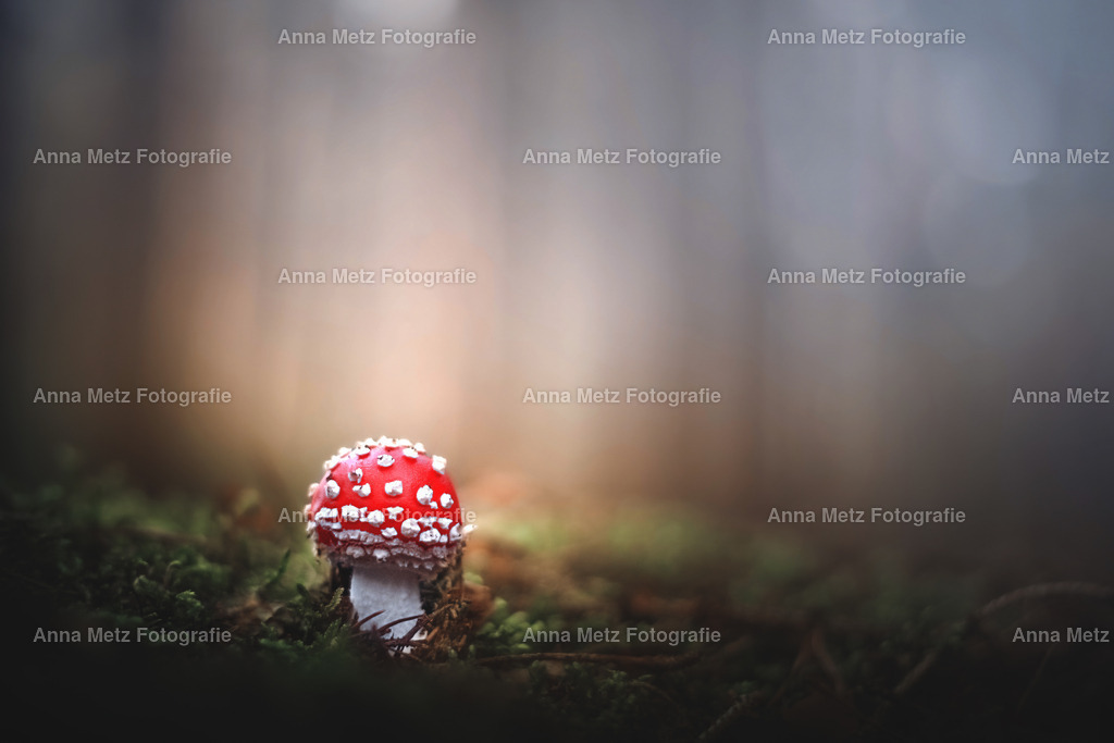 20191023-IMG_97911 | anna-metz - Realisiert mit Pictrs.com
