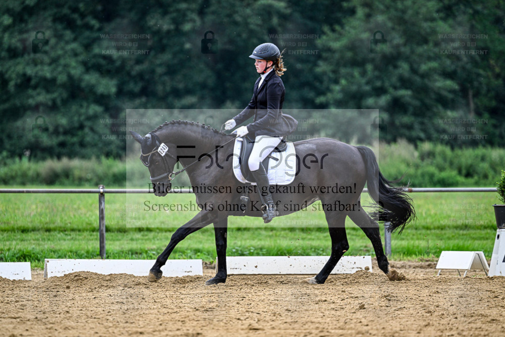 Reitturnier Hasbergen | Entdecke hochwertige Reitturnierfotos von Foto Oger. Professionell, emotional und authentisch – jetzt Lieblingsmomente im Shop bestellen. - Realisiert mit Pictrs.com