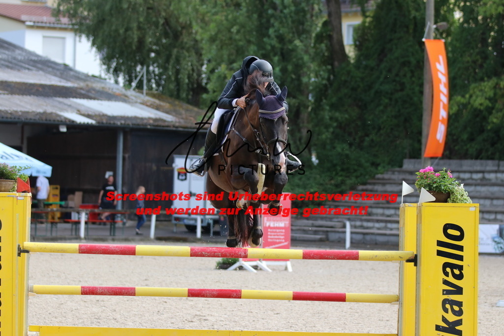 IMG_8673 | lmwpictures - Realisiert mit Pictrs.com