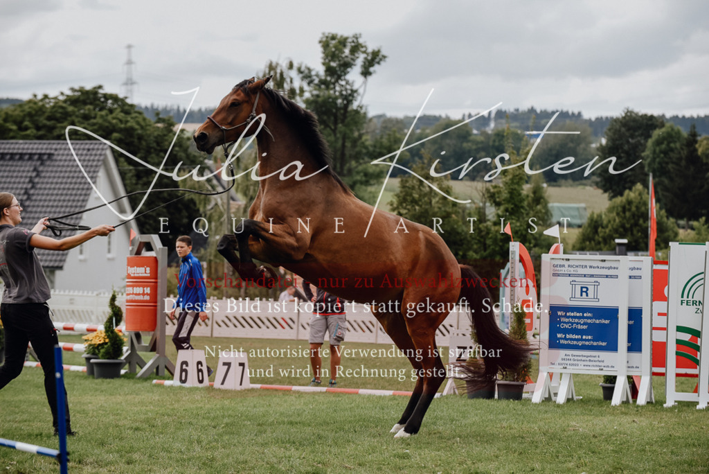 DSC_4014 | Pferde- und Turnierfotografie in Westsachsen. Pferdeportraits, Auftragszeichnungen und intuitive Kunst.