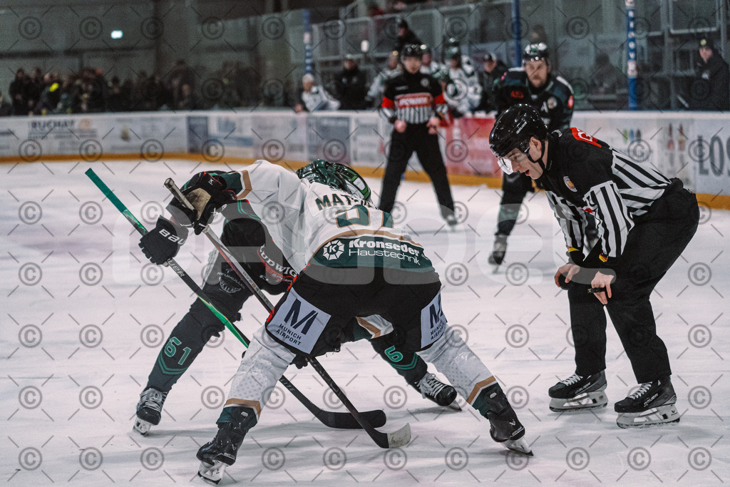 Alligators_vs_Erding_01_02_2026-47 | Höchstadt Alligators Fotogalerie: Eishockey-Action aus Franken. Professionelle Spielfotos, Portraits & Stadionbilder zum Download. Jetzt entdecken! - Realized with Pictrs.com