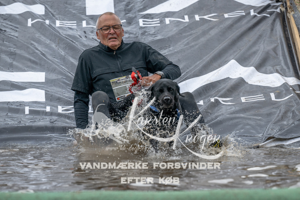 1538_ZZ94524 | kk-dogfotos
