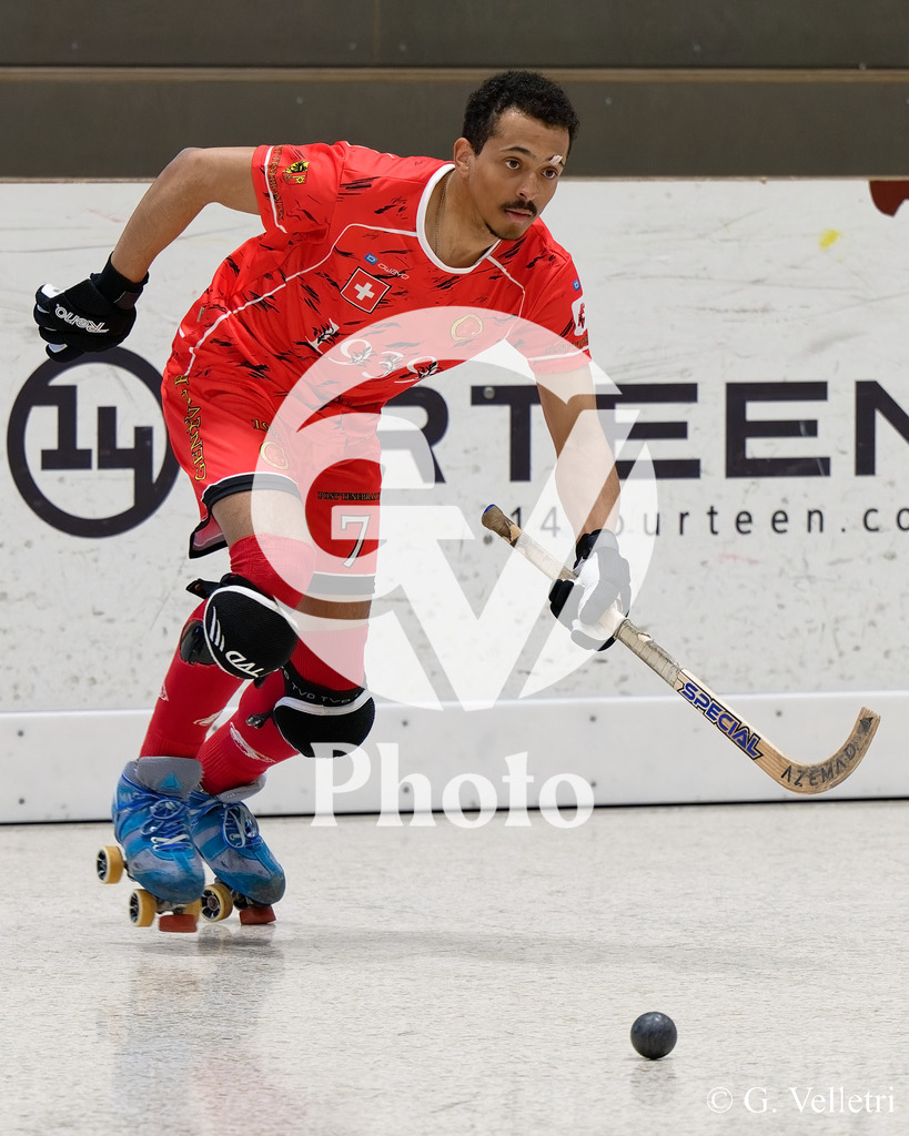 DSC_5446 | Velletri Photo