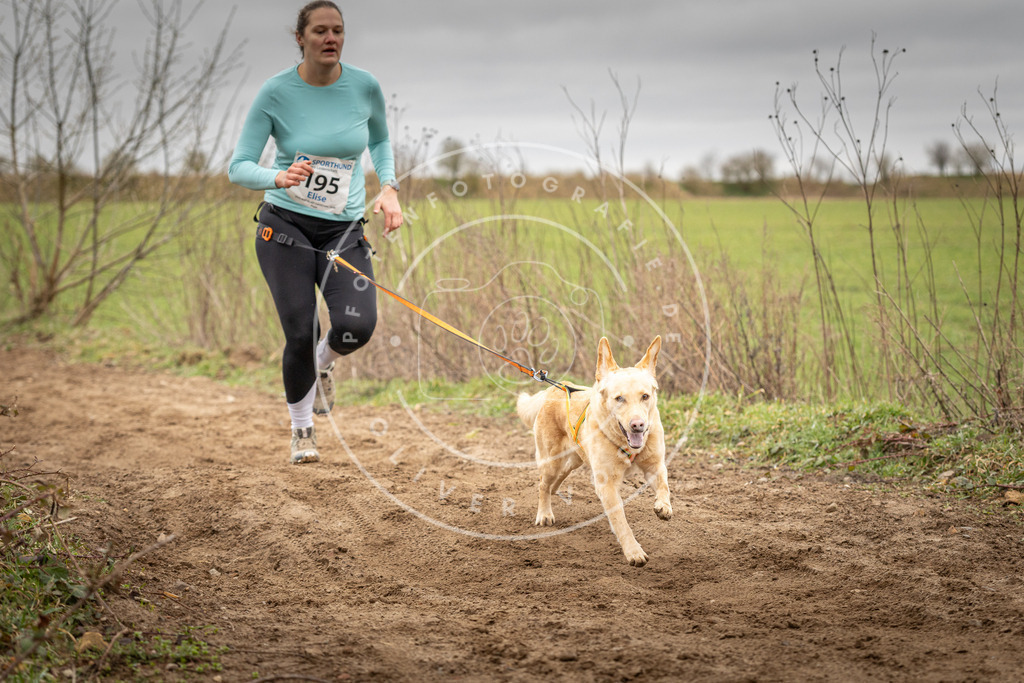 DV3A2308 | Hundefotografie, Tierfotograf, Pfotenfotografie, Fotoshooting Hund, Hunde Portrait, Hundesport, Hundeportraits, Heideshooting, Hunde, Sportfotograf, Hundefotograf, Turnierhundsport, THS,  - Realisiert mit Pictrs.com