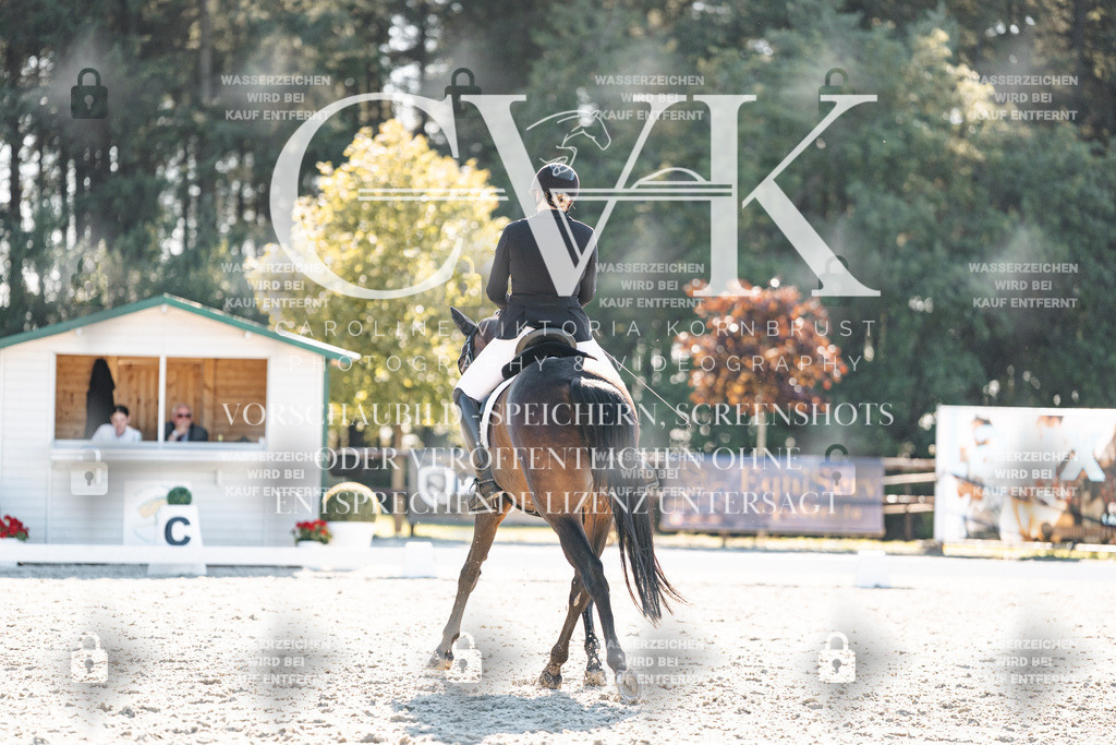 CK906348 | Turnierfotografie Pferdefotografie Trier Rheinland-Pfalz Pferdesport Reitsport Tierfotografie Sportfotografie Pferdevideo Pferdevideografie Equestrianvideography equestrianphotography  - Realisiert mit Pictrs.com