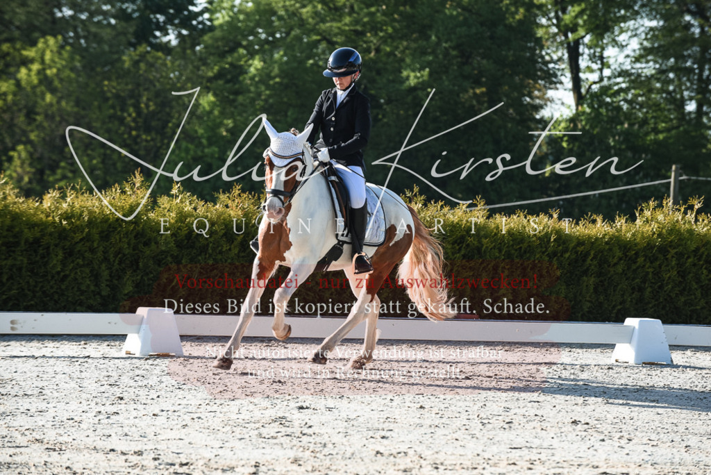 20230518_JK-Röhrsdorf-09-0296 | Pferde- und Turnierfotografie in Westsachsen. Pferdeportraits, Auftragszeichnungen und intuitive Kunst.