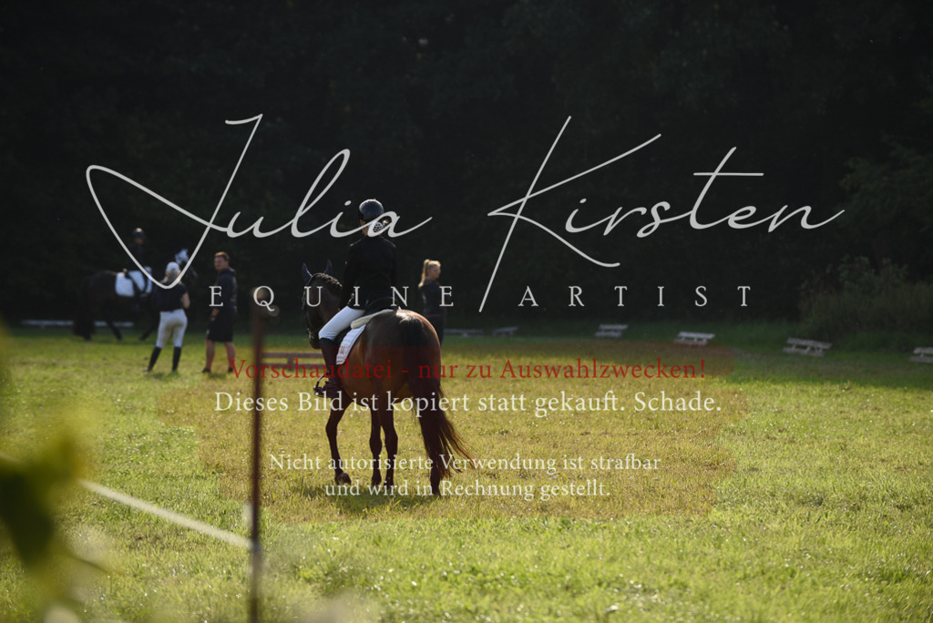 DSC_8563 | Pferde- und Turnierfotografie in Westsachsen. Pferdeportraits, Auftragszeichnungen und intuitive Kunst.