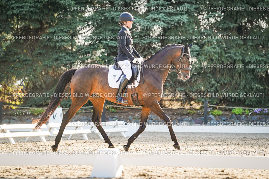 DSC08130 | Pferdegrafie