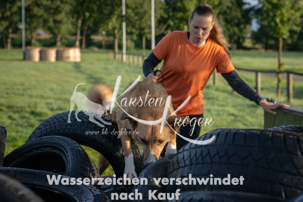 0808_ZZ90427 | kk-dogfotos