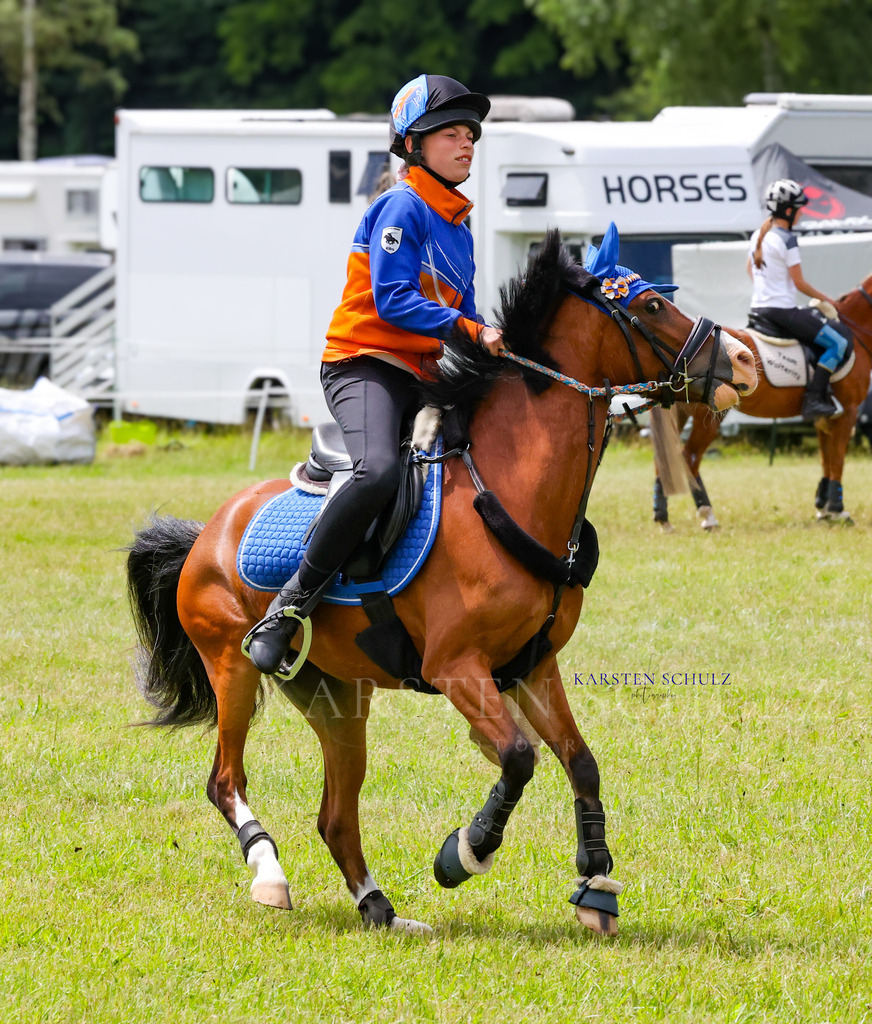 1B3A1671 | Reitsport Reiten