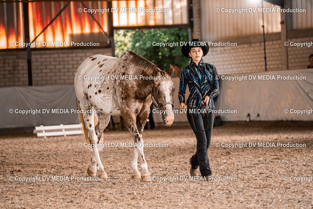 ZH100061 | dv-media-shop - Realisiert mit Pictrs.com