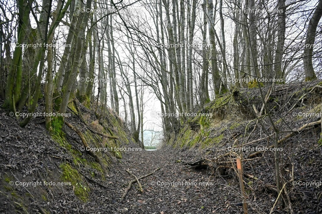 Donaulimes_ Naturdenkmal Kuhschellenboeschung_ 28.12.2022-4 | 28.12.2022, Wilhering, AUT, Donaulimes, im Bild Naturdenkmal Kuhschellenboeschung
