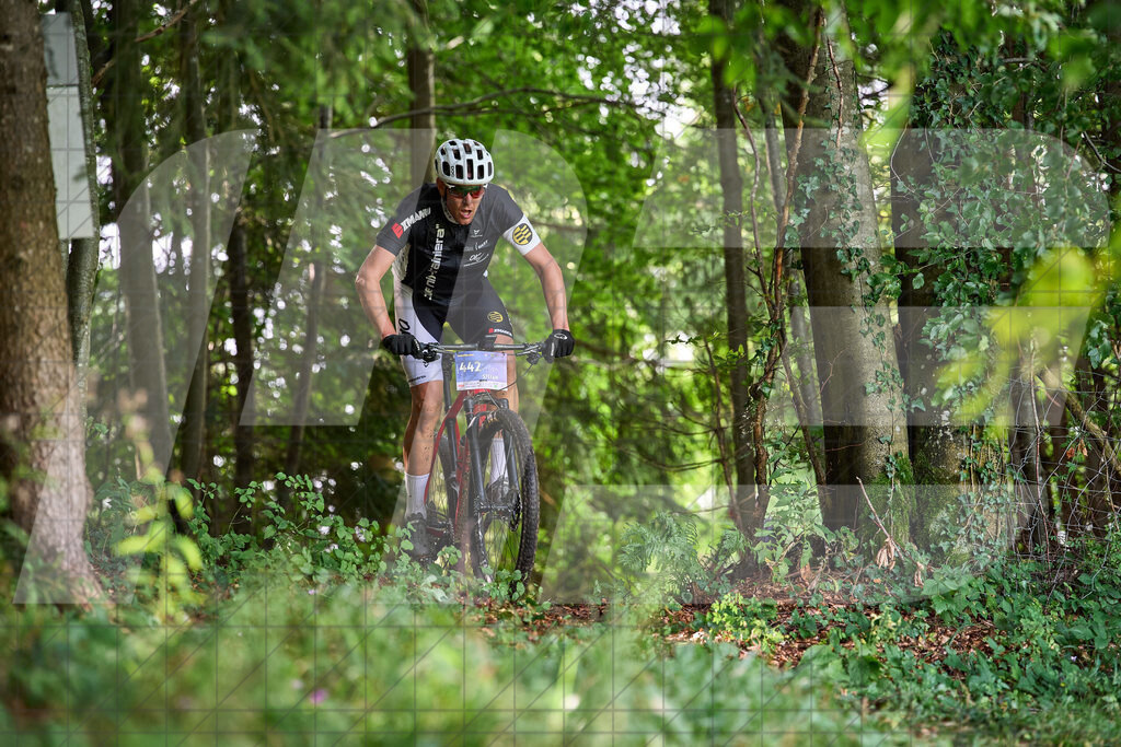 Betriebszentrum Laubenbachmühle, Frankenfels, Österreich - 13. September 2025: Dirndltal Race - Fun und Trophy RaceFotograf: Martin Bihounek / martinbihounek.com | 13. September 2025 Betriebszentrum Laubenbachmühle, Frankenfels, Österreich : Dirndltal Race - Fun und Trophy Race •••••Photo by: Martin Bihounek / martinbihounek.comInsta: @martinbihounekcom