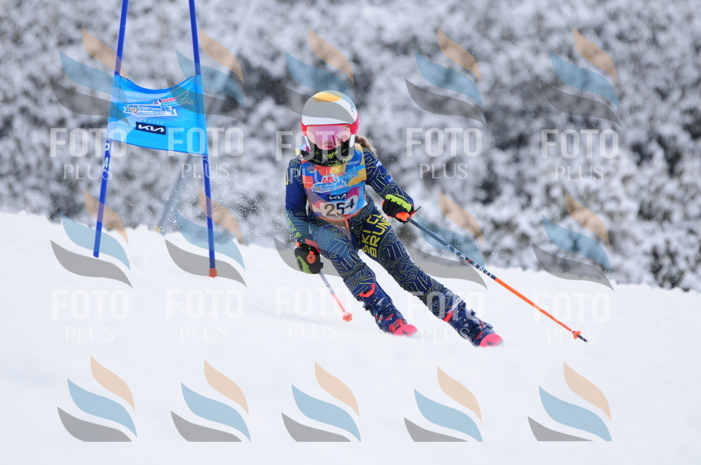 C2674 | holidayphoto