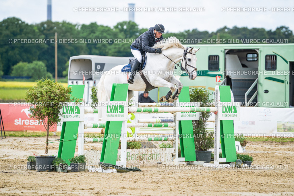 DSC04628 | Pferdegrafie