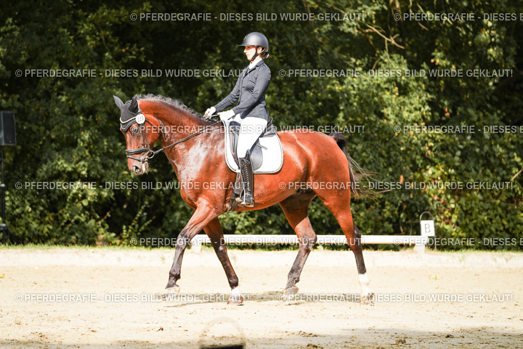 DSC02198 | Pferdegrafie