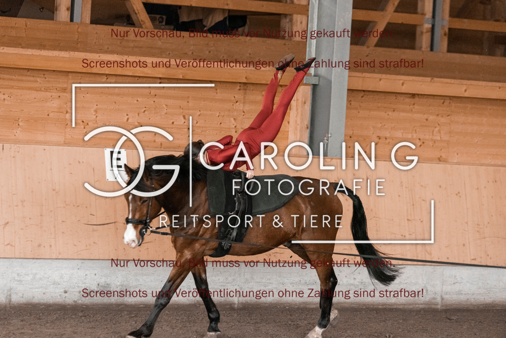 DSC_1998 | Turnierfotografin Carolin Gieschke,Reitsport Turnierfotografie Carolin G Fotografie | Turnierfotos aus Kirchheim/Teck, Esslingen, Stuttgart und dem Bodenseekreis