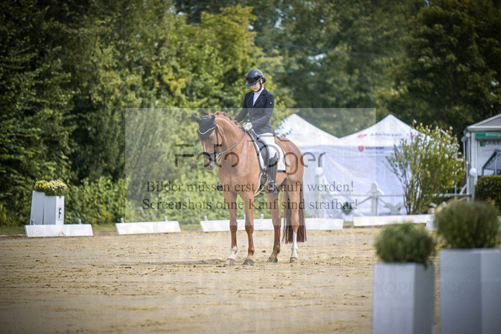 DOS_9747 | Entdecke hochwertige Reitturnierfotos von Foto Oger. Professionell, emotional und authentisch – jetzt Lieblingsmomente im Shop bestellen.Deutschlandweite Turnierfotografie. - Realisiert mit Pictrs.com
