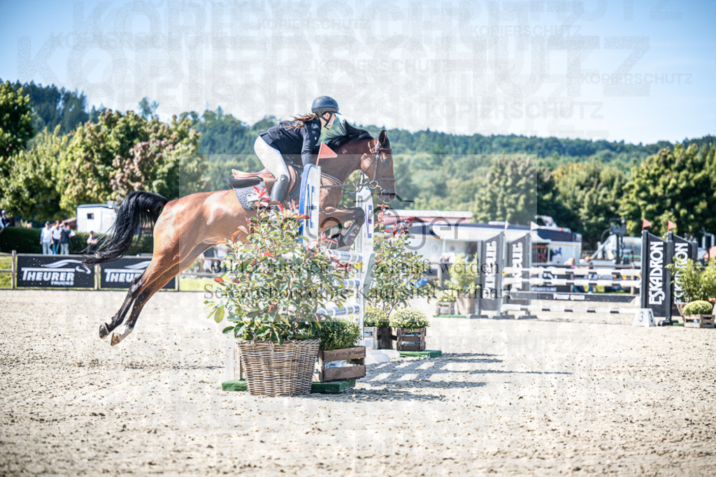 DOS_1660 | Entdecke hochwertige Reitturnierfotos von Foto Oger. Professionell, emotional und authentisch – jetzt Lieblingsmomente im Shop bestellen.Deutschlandweite Turnierfotografie. - Realisiert mit Pictrs.com