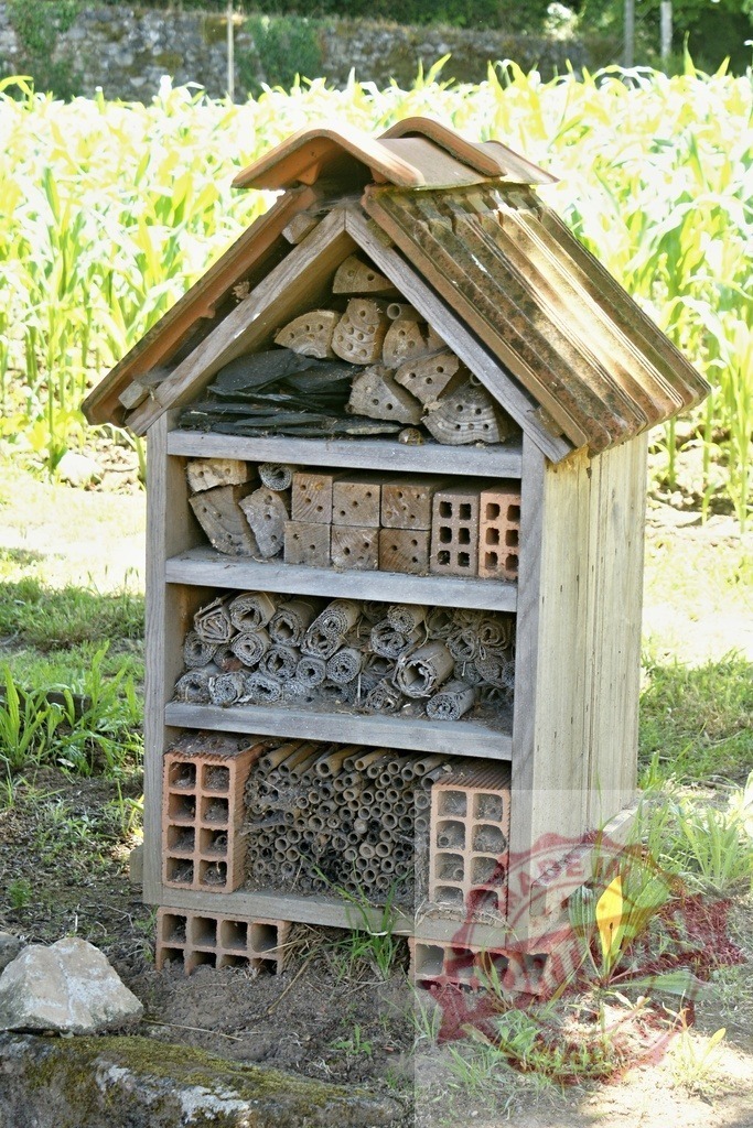 Wooden insect hotel providing shelter for garden biodiversity | Wooden insect hotel with various natural materials creating habitats for bugs in a garden - Realized with Pictrs.com