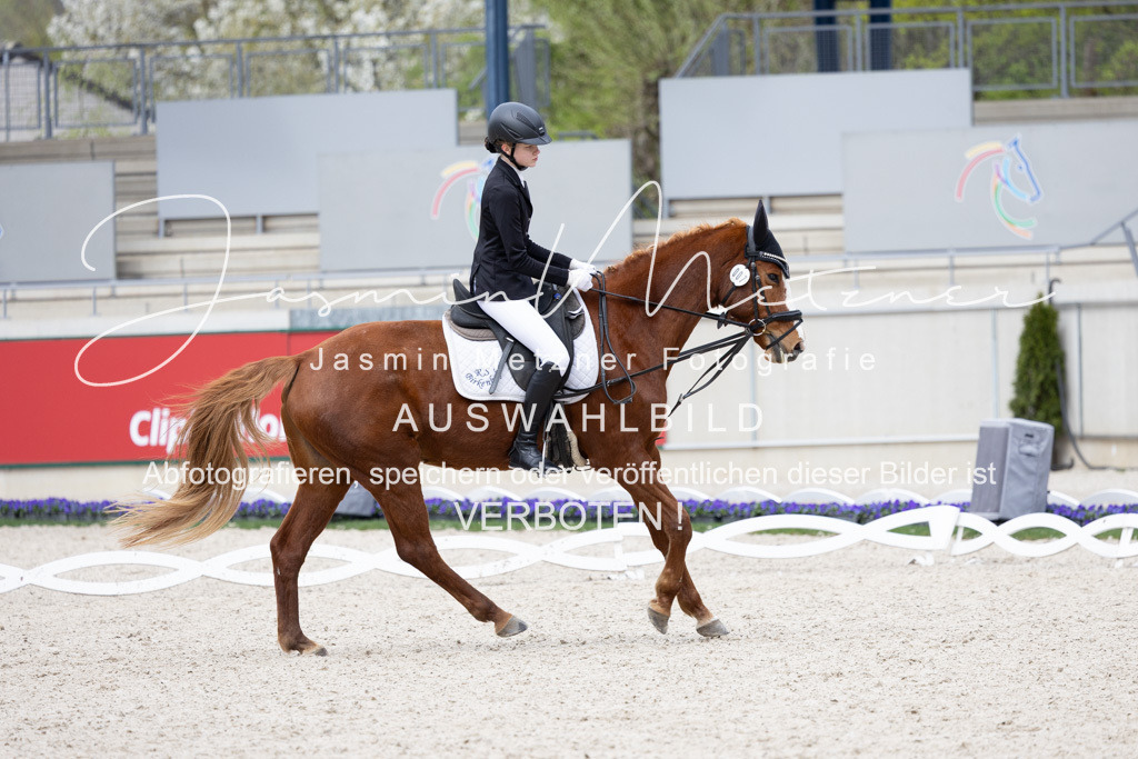 126A7884 | jasminmetznerfotografie