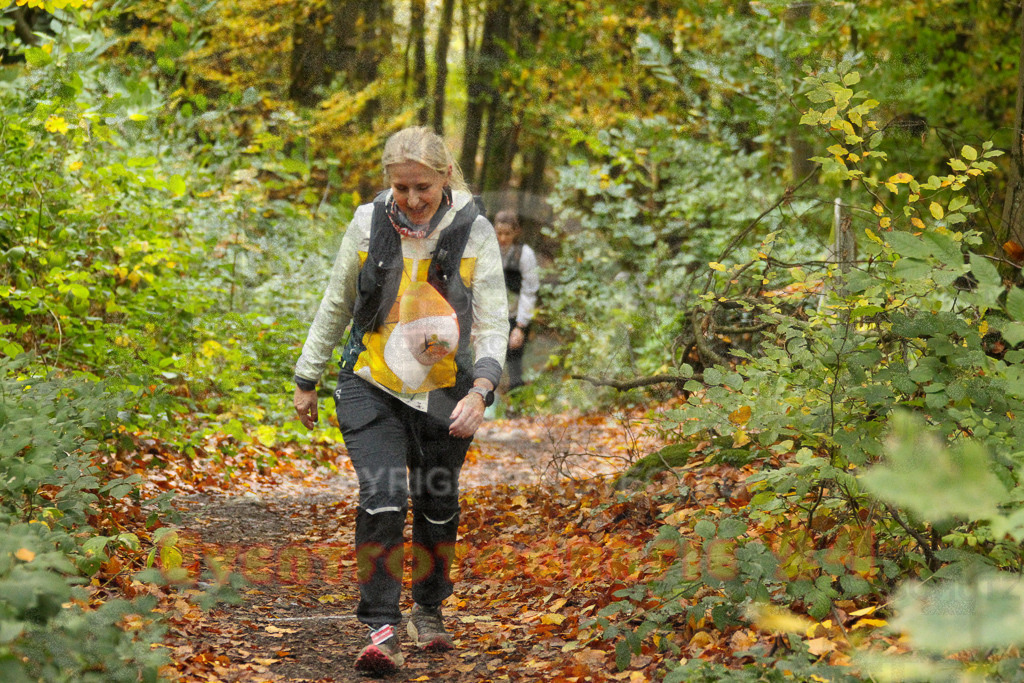 251026_1324_EV4_6907 | Sportfotografie im Rhein-Sieg Kreis, Köln, Bonn, NRW, Rheinland Pfalz, Hessen, etc. Unser Tätigkeitsfeld umfasst den Laufsport vom Volkslauf über den Marathon, Duathlon, Triathon bis zum Ultralauf wie Kölnpfad Ultra oder Schindertrail.